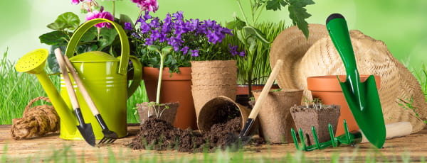 10 padomi topošajam dārzniekam