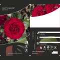 Floribunda roze Chic™ Fashion ®, С3 interface.image 3 interface.art 6172