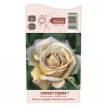 Floribunda roze Honey Dijon®, C5 interface.image 3 interface.art 6144