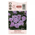 Floribunda roze Nautica®, C5 interface.image 4 interface.art 6150