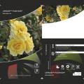 Floribunda roze Urban ™ Fashion ®, С3 interface.image 2 interface.art 5008
