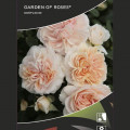Floribunda roze Garden of Roses ®, C5 interface.image 2 interface.art 5822
