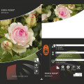 Vīteņroze Eden Rose ®, C3 interface.image 3 interface.art 4559