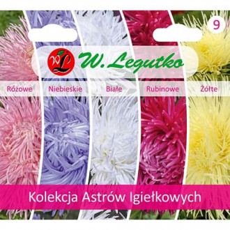 Adatu izšuvumu kolekcija Asters interface.image 1