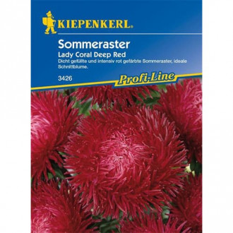 Asteres Lady Coral Deep Red interface.image 5