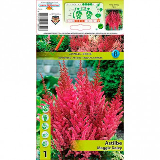 Astilbe Maggie Daley interface.image 1