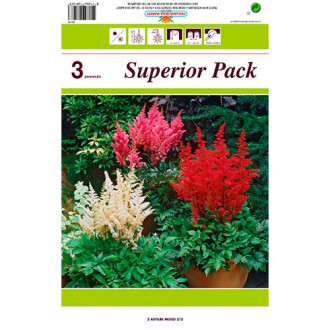 Astilbe Mixed interface.image 3