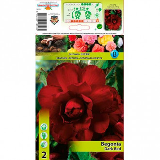 Begonija Double Dark Red interface.image 1