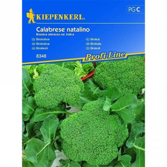 Brokoļi Calabrese natalino Kiepenkerl interface.image 3