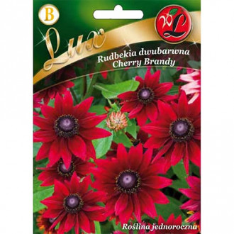 Cherry Brandy divkrāsainā rudbekija - ķiršu krāsas interface.image 5