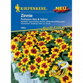 Cinnijas Profusion Red & Yellow interface.image 1