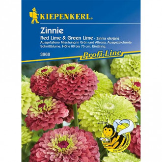 Cinnijas Red Lime & Green Lime interface.image 3