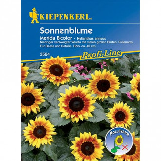 Dekoratīvās saulespuķes Merida Bicolor interface.image 5