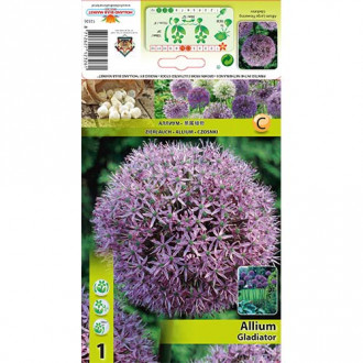 Ķiploku (Allium) Gladiator interface.image 6