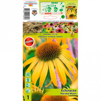 Ehinācijas (Echinacea) Harvest Moon interface.image 5