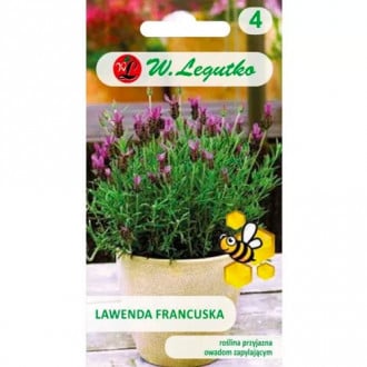 Franču lavanda Legutko interface.image 6