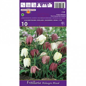 Rūtainā fritilārija, mix interface.image 6