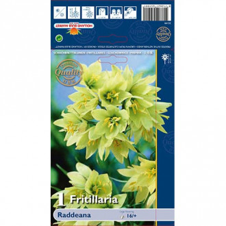 Fritilārija Raddeana interface.image 2