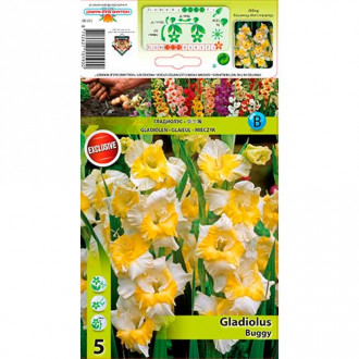 Gladiola Buggy interface.image 5