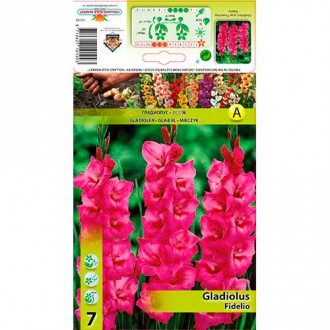 Gladiola Fidelio interface.image 5