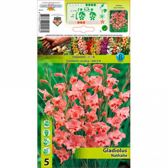 Gladiola mini Nathalie interface.image 3