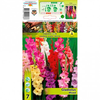 Gladiola Mixed interface.image 6