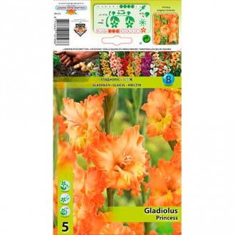 Gladiola Princess interface.image 6