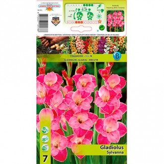 Gladiola Sylvana interface.image 2