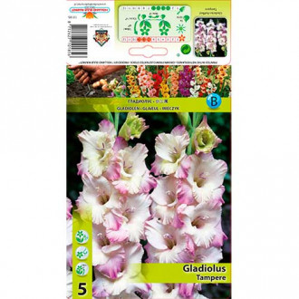 Gladiola Tampere interface.image 4