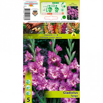 Gladiola Tango interface.image 5