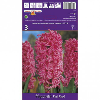 Hiacinte Pink Pearl interface.image 6