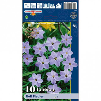 Ifeone (Ipheion) Rolf Fiedler interface.image 2