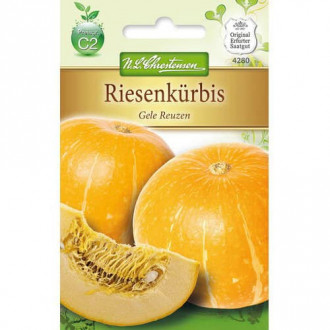 Ķirbji Gele Reuzen interface.image 11