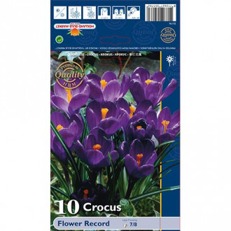 Krokusi Flower Record interface.image 1