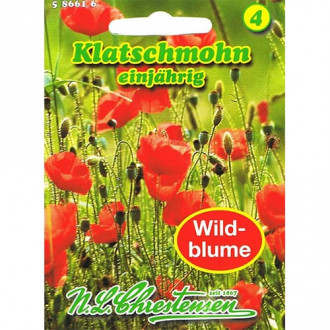 Lielās magones Klatschmohn interface.image 2