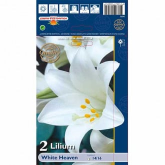 Lilija White Heaven interface.image 1