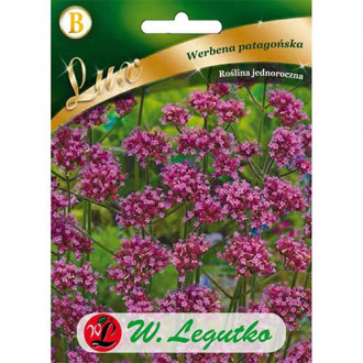 Patagonijas ceriņi verbena interface.image 2