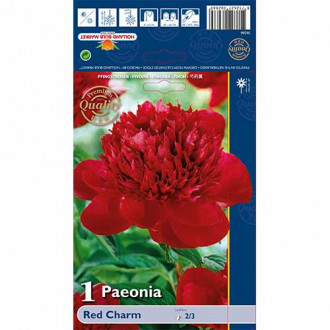 Peonija Red Charm interface.image 4