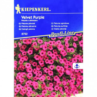Petūnijas Velvet Purple F1 Kiepenkerl interface.image 4
