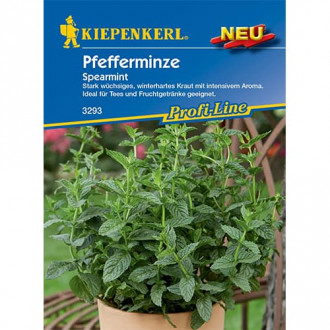 Piparmētras Spearmint Kiepenkerl interface.image 6