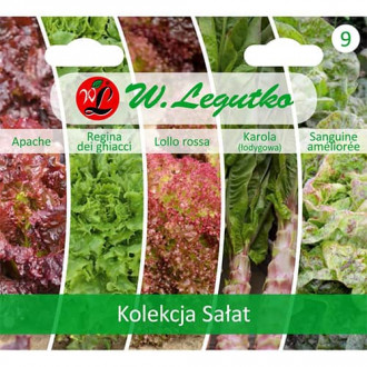 Salātu kolekcija Legutko interface.image 6