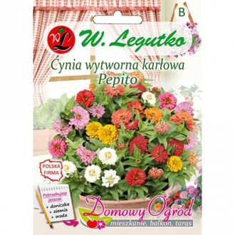 Smalkas pundurziedes zinnijas Pepito, jaukt interface.image 4