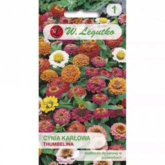 Smalkas zinnijas Thumbelina, jaukt interface.image 4