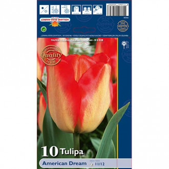 Tulpes Darvina American Dream interface.image 5