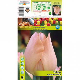 Tulpes Apricot Beauty interface.image 3