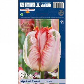 Tulpes papagaiļu Apricot Parrot interface.image 5