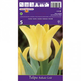 Tulpes lilijziedu Ballade Gold interface.image 1