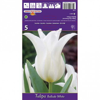 Tulpes lilijziedu Ballade White interface.image 4