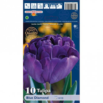 Tulpes pildītās Blue Diamond interface.image 2