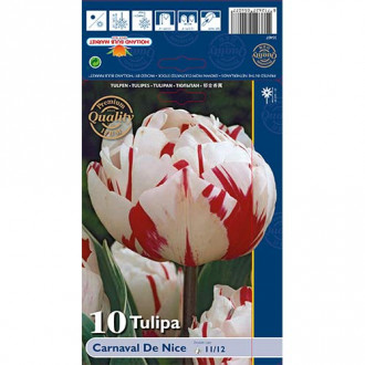 Tulpes pildītās Carnaval de Nice interface.image 6